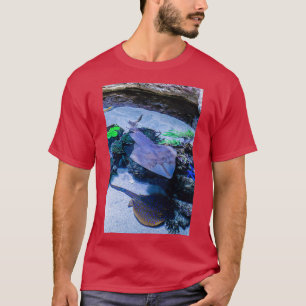 Rays bij AWQA T-shirt