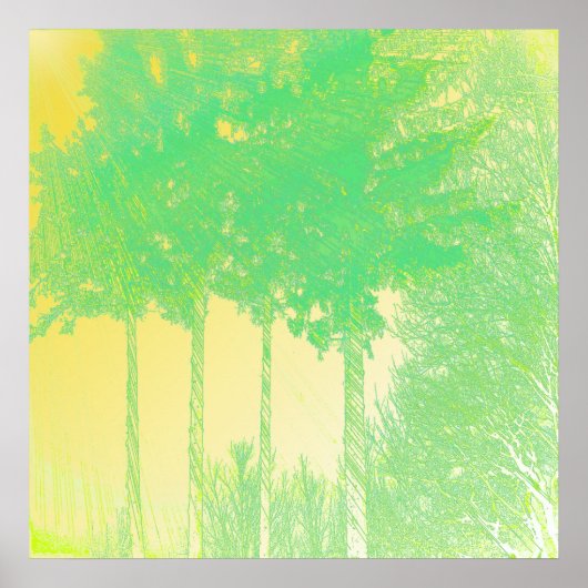 Rays of Hope 3 Trees Print (Voorkant)