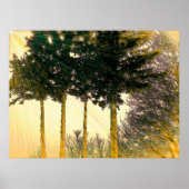 Rays of Hope Poster (Voorkant)