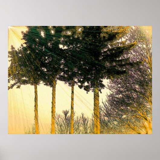 Rays of Hope Poster (Voorkant)