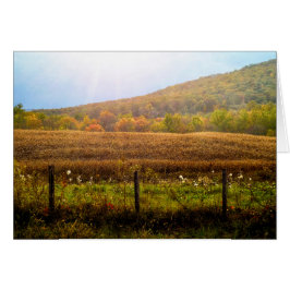Rays of Sun in het najaar