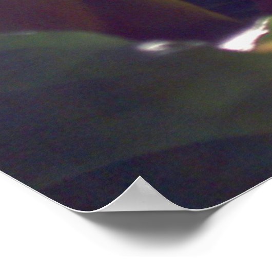 Rays Poster (Hoek)