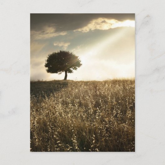 Rays van licht breken door de dramatische hemel briefkaart (Voorkant)