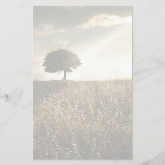 Rays van licht breken door de dramatische hemel briefpapier (Voorkant)