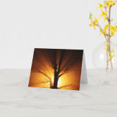 Rays van lichte Kaart (Gele Bloem)