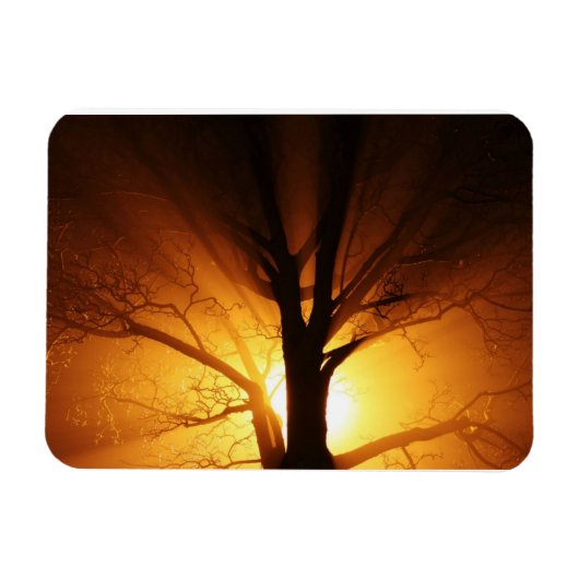 Rays van lichtPremium Magnet Magneet (Horizontaal)