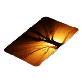 Rays van lichtPremium Magnet Magneet (Linkerzijde)