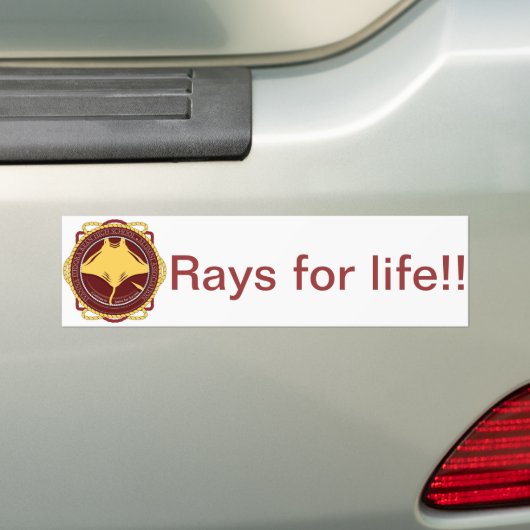 Rays voor levensechte Bumpersticker (Op auto)