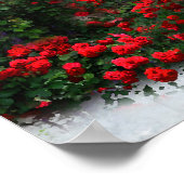 Raysel Poster (Hoek)