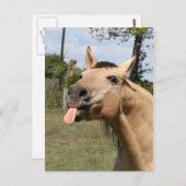 razbes briefkaart (Voorkant / Achterkant)