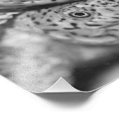 Razorback Muskschildpad, fotodruk Foto Afdruk (Hoek)