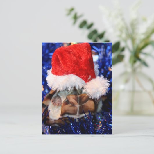 Razorbacked Muskschildpad, Santa Hat over kop Feestdagenkaart (Staand voorkant)