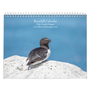Razorbill Kalender 2025