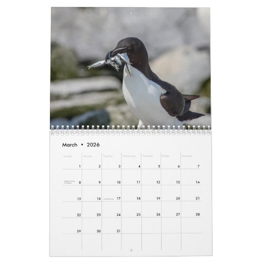Razorbill Kalender 2026 (Mar 2026)