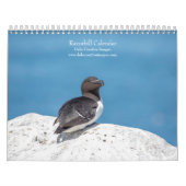 Razorbill Kalender 2026 (Hoes)