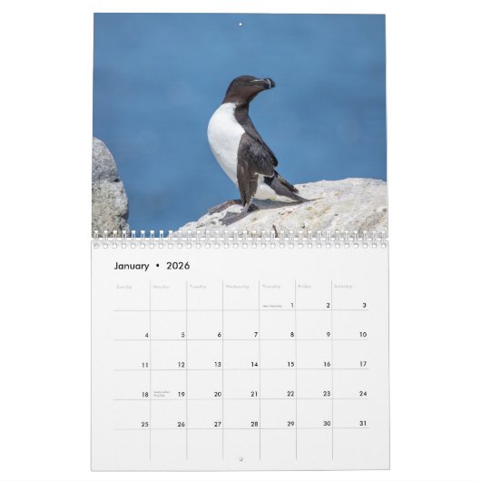 Razorbill Kalender 2026 (Jan 2026)