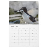 Razorbill Kalender 2026 (Mar 2027)