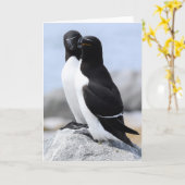 Razorbill Pair Kaart (Gele Bloem)