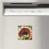Razzmatazz Zonnebloem Magneet (Insitu (Vaatwasser))