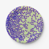 RBC's WBC's slide lab microscoop hematologie Papieren Bordje (Voorkant)