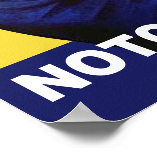 RBG de Riveting Poster (Hoek)