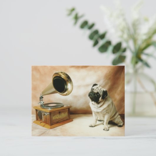 RCA Pug Dog Briefkaart (Staand voorkant)