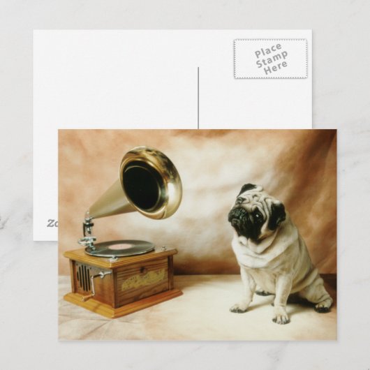 RCA Pug Dog Briefkaart (Voorkant / Achterkant)
