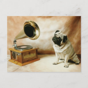 RCA Pug Dog Briefkaart