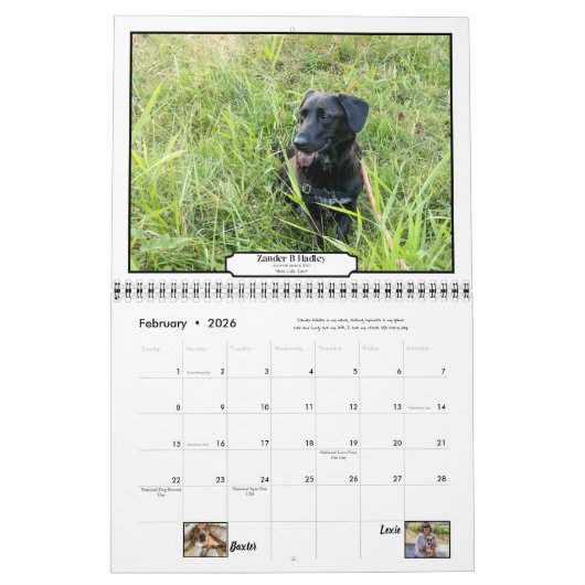 RCR Alumni 2020-agenda Kalender (Feb 2026)