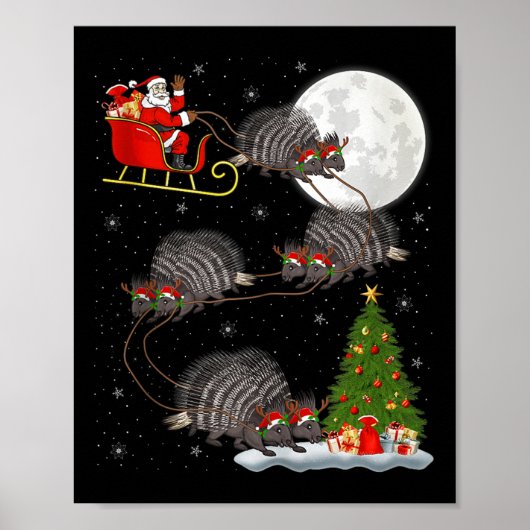 Rcune Santa Sleigh Flying Funny Magical Christmas  Poster (Voorkant)