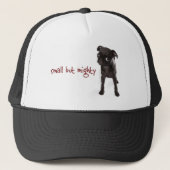 RD Pug Mighty Pet (Voorkant)