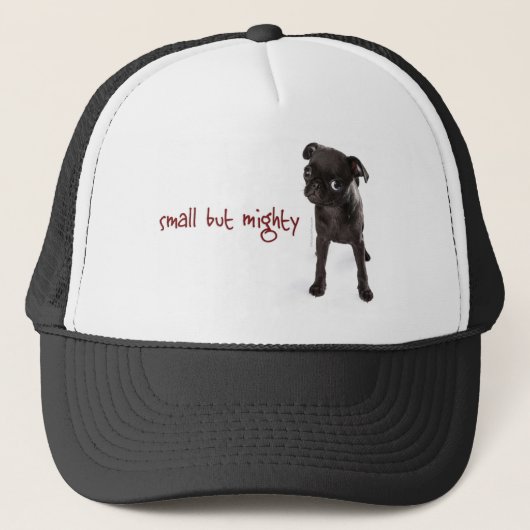 RD Pug Mighty Pet (Voorkant)