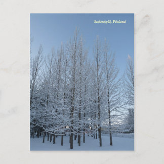 Reach for the Sky Briefkaart