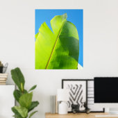 Reaching for Sun Poster (Thuiskantoor)