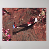 Reaching Poster (Voorkant)