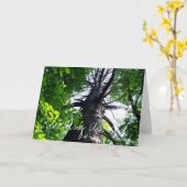 Reaching Upwards Kaart (Gele Bloem)