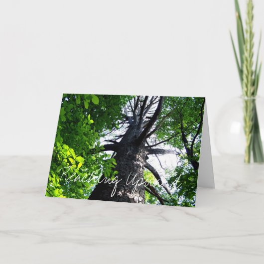 Reaching Upwards Kaart (Voorkant)