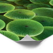 Reactie op Motivatie Poster van stress (Hoek)