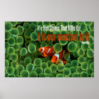 Reactie op Motivatie Poster van stress