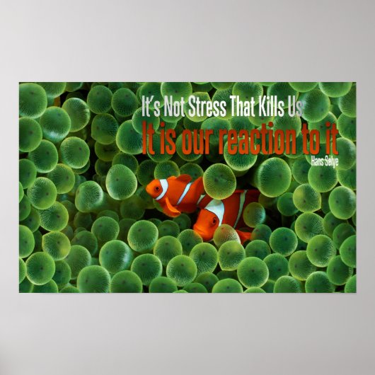 Reactie op Motivatie Poster van stress (Voorkant)