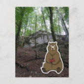 Reader Bear (color) Briefkaart (Voorkant)
