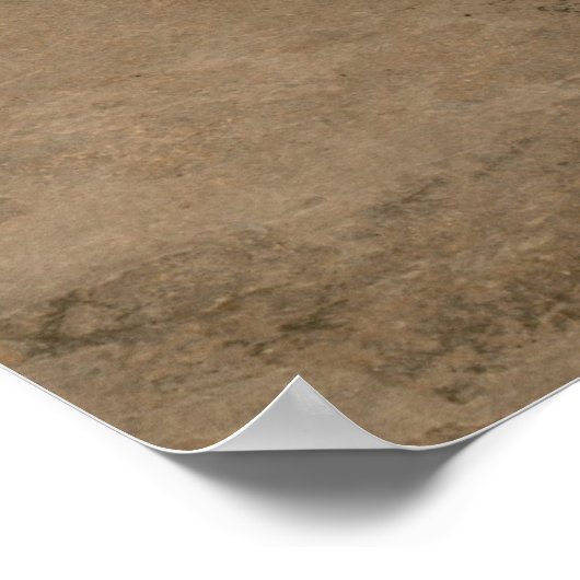 Reading in a Bamboo Grove Poster (Hoek)