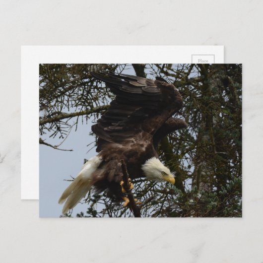 Ready For Flight Briefkaart (Voorkant / Achterkant)