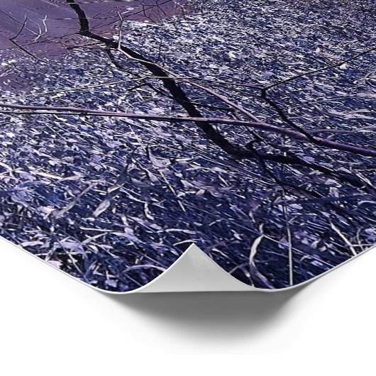 Ready To Cross Poster (Hoek)