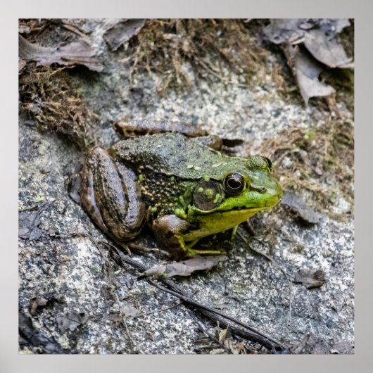 Ready to Go Poster (Voorkant)