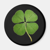 Real 4 Leaf Clover Shamrock Black Magneet (Voorkant)