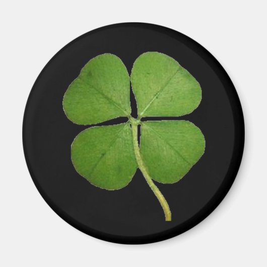 Real 4 Leaf Clover Shamrock Black Magneet (Voorkant)
