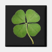 Real 4 Leaf Clover Shamrock Black Magneet (Voorkant)