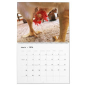 Real Boo the Roo 2020 Calendar Kalender (Mar 2026)