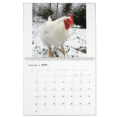 Real Boo the Roo 2020 Calendar Kalender (Jan 2027)